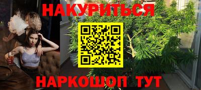 ALPHA PVP Камышлов