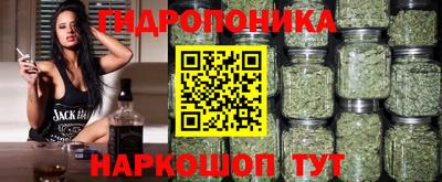 МДПВ Кандалакша