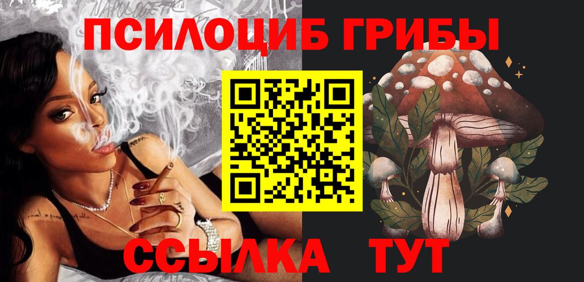 Кудрово  Псилоцибиновые грибы ЛСД  Псилоцибиновые грибы MAGIC MUSHROOMS  Вход с VPN 