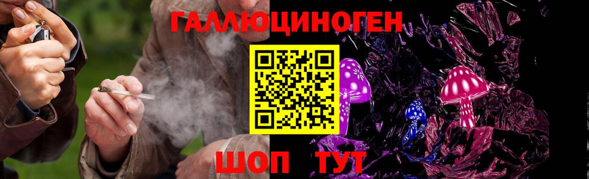 Псилоцибиновые грибы MAGIC MUSHROOMS Кудрово